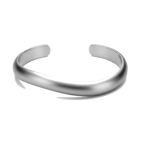 Auralume Stainless steel bangle bracelet