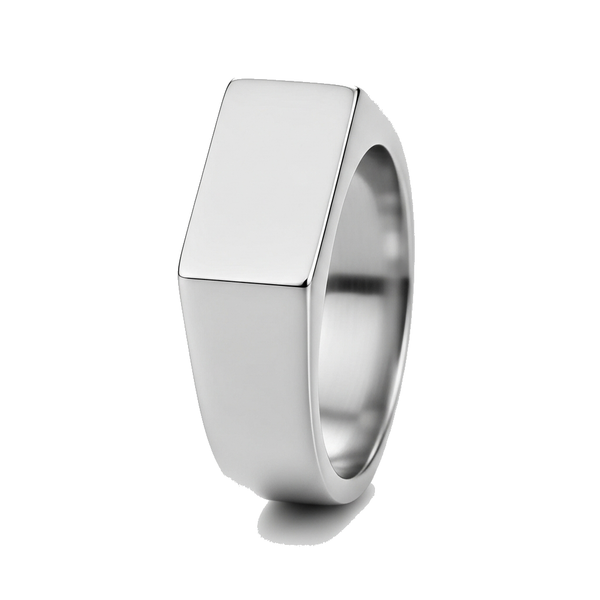 Auralume Minimalist signet ring